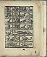 Opera Nova Universali intitulata Corona di racammi, Giovanni Andrea Vavassore (Italian, active Venice 1530–1573)  , Venice, Woodcut