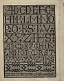 Libbretto nouellamete composto per maestro Domenico da Sera...lauorare di ogni sorte di punti, Domenico da Sera (French, active Italy, 16th century)  , Lyon, Woodcut