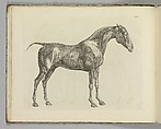 Written and illustrated by George Stubbs | The Anatomy of the Horse