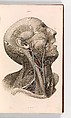 A System of Anatomical Plates of the Human Body, vol. 2, John Lizars  American, Illustrations: engraving, hand-colored, and lithographs