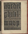 Ce est ung tractat de la noble art de leguille ascavoir ouvraiges de spaigne..., Willem Vosterman (Netherlandish, active Antwerp), Woodcut