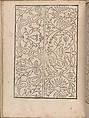 New Modelbüch allen Nägerin u. Sydenstickern, Hans Hoffman (German, active Strasbourg, 1556), Woodcut