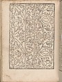 New Modelbüch allen Nägerin u. Sydenstickern, Hans Hoffman (German, active Strasbourg, 1556), Woodcut