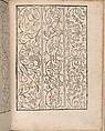 New Modelbüch allen Nägerin u. Sydenstickern, Hans Hoffman (German, active Strasbourg, 1556), Woodcut