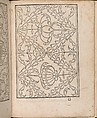New Modelbüch allen Nägerin u. Sydenstickern, Hans Hoffman (German, active Strasbourg, 1556), Woodcut