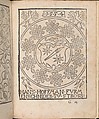 New Modelbüch allen Nägerin u. Sydenstickern, Hans Hoffman (German, active Strasbourg, 1556), Woodcut