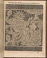La Pratique de l'Aiguille, Matthias Mignerak, Engraving, woodcut