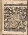 La Pratique de l'Aiguille, Matthias Mignerak, Engraving, woodcut