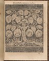 La Pratique de l'Aiguille, Matthias Mignerak, Engraving, woodcut