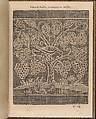 La Pratique de l'Aiguille, Matthias Mignerak, Engraving, woodcut