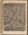 La Pratique de l'Aiguille, Matthias Mignerak, Engraving, woodcut