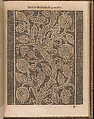 La Pratique de l'Aiguille, Matthias Mignerak, Engraving, woodcut