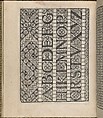 Giardineto novo di punti tagliati et gropposi per exercitio & ornamento delle donne (Venice 1554), Matteo Pagano (Italian, 1515–1588), Woodcut