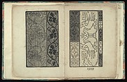 Opera Nova Universali intitulata Corona di racammi, Giovanni Andrea Vavassore (Italian, active Venice 1530–1573)  , Venice, Woodcut