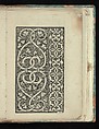 Opera Nova Universali intitulata Corona di racammi, Giovanni Andrea Vavassore (Italian, active Venice 1530–1573)  , Venice, Woodcut