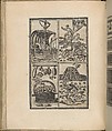 Trionfo Di Virtu. Libro Novo., Matteo Pagano (Italian, 1515–1588)  , Venice, Woodcut