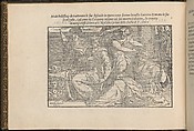 La Vera Perfettione del Disegno di varie sorti di recami, Giovanni Ostaus (Italian, active Venice ca. 1554–91)  , Venice, Woodcut