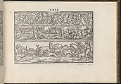 La Vera Perfettione del Disegno di varie sorti di recami, Giovanni Ostaus (Italian, active Venice ca. 1554–91)  , Venice, Woodcut