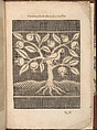 Les Secondes Oeuvres, et Subtiles Inventions De Lingerie du Seigneur Federic de Vinciolo Venitien, Federico de Vinciolo (Italian, active Paris, ca. 1587–99), Woodcut