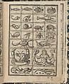 Essempio di recammi, Giovanni Antonio Tagliente (Italian, Venice ca. 1465–1528 Venice), Woodcut