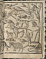 Essempio di recammi, Giovanni Antonio Tagliente (Italian, Venice ca. 1465–1528 Venice), Woodcut