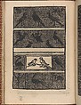 Modelbuch new, aller Art, Nehens und Stickens (page 20v), Hermann Gülfferich , Frankfurt am Main German, Woodcut