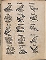 Modelbuch aller Art Nehens vn Stickens (Page 13r), Christian Egenolff  German, Woodcut