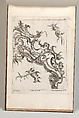 Various Designs for Rocaille Ornaments, Plate 4 from an Untitled Series of Rocaille Ornaments for Frames, Jacob Gottlieb Thelot Central European, Etching