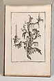 Design for a Two-Armed Candelabra with Rocaille Ornaments and Flowers, Plate 3 from an Untitled Series of Designs for Suspended Candelabra, Carl Pier  German, Etching