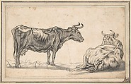 Study of Two Cows, Aelbert Cuyp Dutch, Black chalk and black and gray wash (remains of framingline in red chalk)