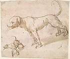 Two Dogs, Anonymous, Spanish, School of Seville, 17th century  Spanish, Pen and brown ink with brush and brown wash over black chalk underdrawing.  On off-white paper