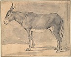 Donkey, Pieter Jacobsz. van Laer  Dutch, Black chalk and gray wash. Ruled border in pen and brown ink. Laid down.