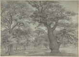 Oak forest with a pig, Anonymous, British, 19th century British, Black and white chalk on gray paper