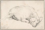 A Sleeping Swine, Adriaen van de Velde  Dutch, Black chalk; framing lines in pen and brown ink