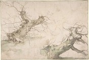 Studies of Two Pollard Willows; Verso: Wide Landscape Prospect, Abraham Bloemaert (Netherlandish, Gorinchem 1566–1651 Utrecht), Pen and brown ink, watercolor, traces of black chalk, framing line in pen and brown ink; verso black chalk and watercolor