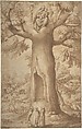 The Beech Tree of the Madonna at La Verna, Jacopo Ligozzi (Italian, Verona 1547–1627 Florence), Pen and brown ink, brush and brown wash and with traces of gray wash, over black chalk