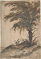 Study of a Tree, Marten van Valckenborch (Netherlandish, Leuven 1534–1612 Frankfurt am Main), Brush and black ink, gray wash, green, yellow, and brown watercolor, white, and green gouache. Traces of framing lines in pen and black ink
