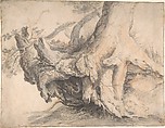 Study of a Tree, Roelandt Savery (Flemish, Kortrijk 1576–1639 Utrecht), Gray watercolor wash, a red chalk wash, charcoal dipped in oil, and graphite on off-white laid paper