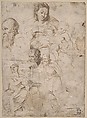 Sheet of Studies, Anthony van Dyck (Flemish, Antwerp 1599–1641 London), Pen and brown ink, brush and brown wash