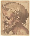 Head of a Bearded Man, Anonymous, Italian, Sienese, 16th century, Pen and brown ink, brush with brown  and red wash
