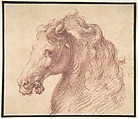 Head of a Horse, Anonymous, Italian, mid-16th century, Red chalk