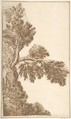 Trees, Anonymous, Italian, Venetian, 15th to 16th century  Italian, Pen and brown ink
