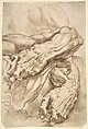 Anatomical Studies:  a left forearm in two positions and a right forearm, Peter Paul Rubens (Flemish, Siegen 1577–1640 Antwerp), Pen and brown ink