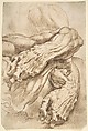 Anatomical Studies: a left forearm in two positions and a right forearm, Peter Paul Rubens (Flemish, Siegen 1577–1640 Antwerp), Pen and brown ink