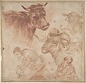 Studies of Animal Heads and Figures, Anonymous, Italian, Roman-Bolognese, 17th century Italian, Red chalk, brush and brown wash on light brown paper