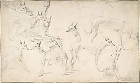 Studies of Hounds, David Teniers the Younger  Flemish, Graphite