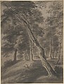 Forest Scene with Tree in Foreground, Jacques d'Artois  Flemish, Brush and gray wash, with bodycolor, over a sketch in black chalk