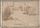 Studies of Cattle, Anonymous, Italian, Roman-Bolognese, 17th century  Italian, Brush and brown wash over black chalk on light brown laid paper