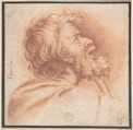 Head of Bearded Old Man Shown in Profile, Looking Up, Anonymous, Italian, Roman-Bolognese, 17th century Italian, Red chalk on cream paper. Reworked counterproof?