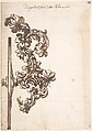 Rear Wheel and Part of the Carved Wooden Structure of a Carriage, Anonymous, Italian, 18th century, Pen and brown ink, brush and brown wash, over black chalk
